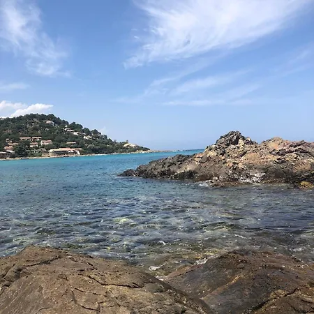 Proche De La 1 アパート コンカ