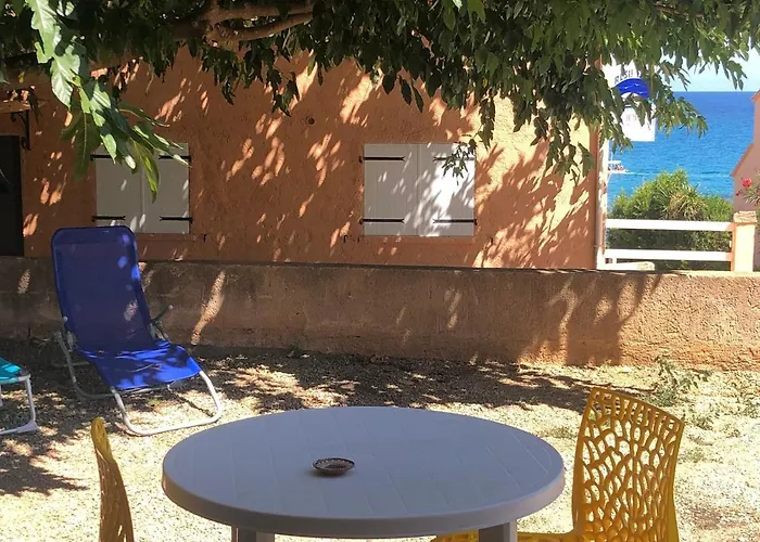 Proche De La 1 * קונקה